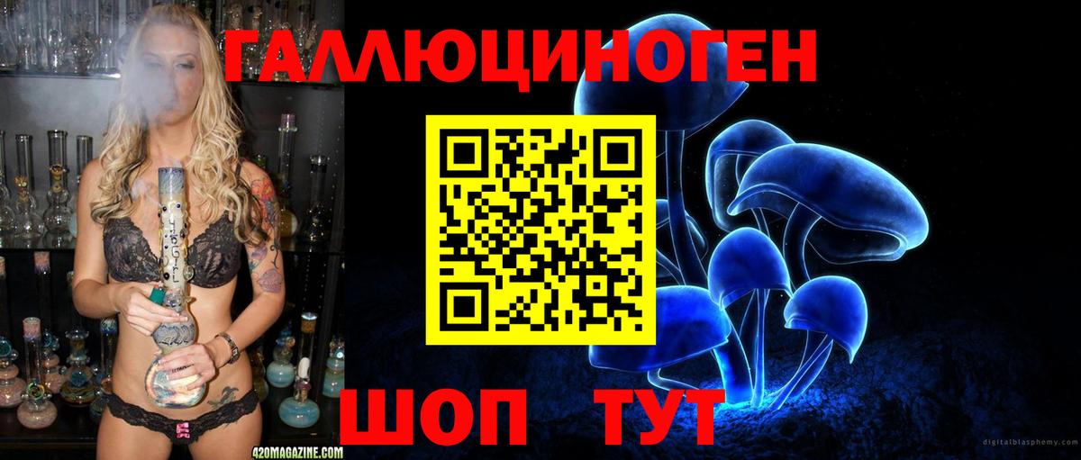 Пугачёв  Псилоцибиновые грибы Magic Shrooms  Галлюциногенные грибы прущие грибы  Вход с VPN 